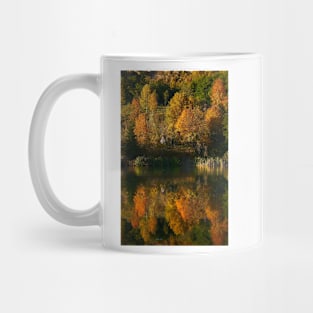 Autumn on the lake with reflection Mug